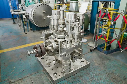 我國(guó)首臺(tái)核電廠穩(wěn)壓器先導(dǎo)式安全閥在川通過產(chǎn)品鑒定